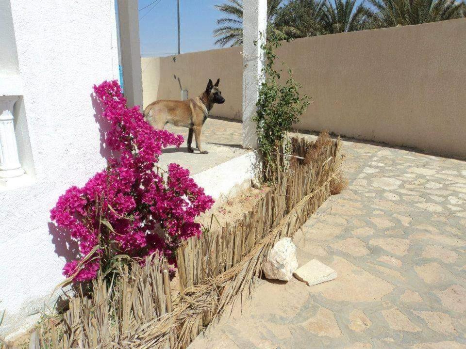 Residence Nour Дуз Екстериор снимка