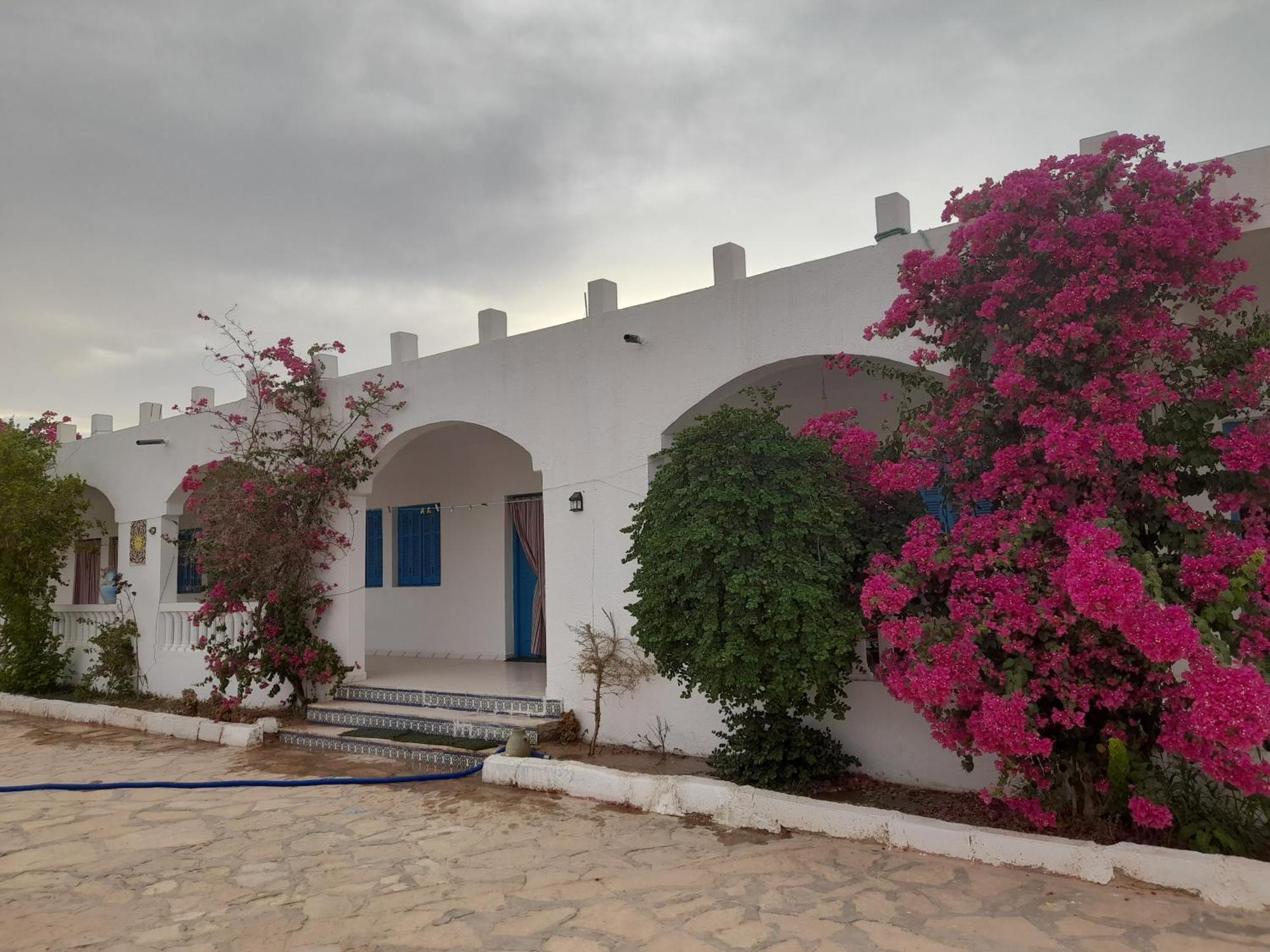 Residence Nour Дуз Екстериор снимка